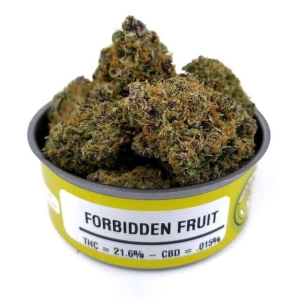 forbidden fruit strain